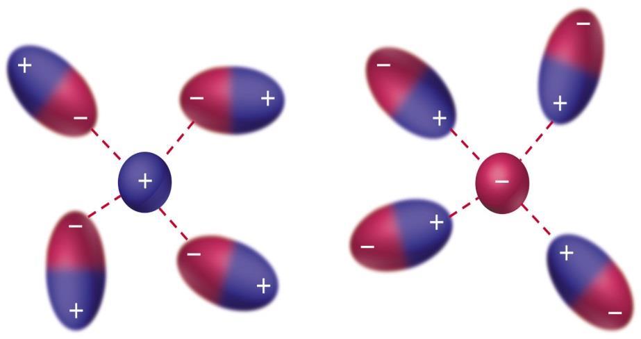 Forze Ione-Dipolo 14 Per gli ioni monoatomici monocarichi l interazione con l acqua varia nell ordine: Li + > Na + > K + > Rb + ~ Cs + F - > Cl - > Br - > I - K +, r = 133 pm DH = -321 kj