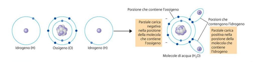 Legame covalente polare/apolare Legame ionico I composti che