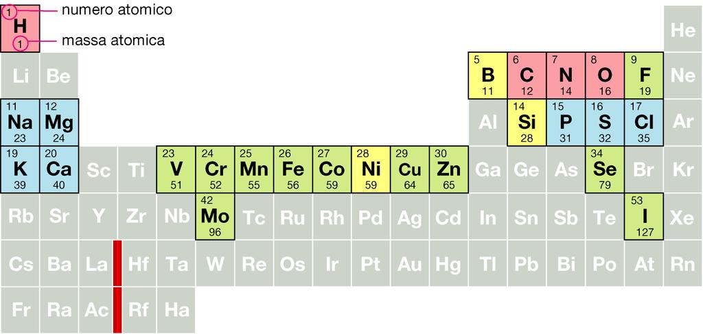 Massa atomica o Numero di massa (Da): Protoni + neutroni 1 neutrone o 1 protone = 1 Da (dalton) o 1 Unità di Massa atomica 1 elettrone pesa 1/2000