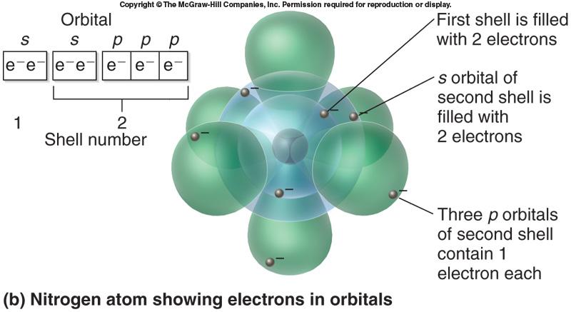 posizione I diversi stati di energia potenziale degli e - detti: LIVELLI ENERGETICI O STRATI O GUSCI ELETTRONICI La materia tende spontaneamente a spostarsi verso il