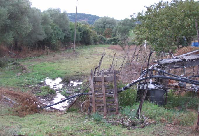 bassa vegetazione. Difficilmente entra in ambienti chiusi.