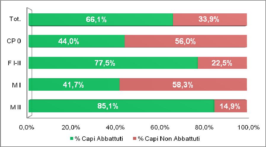 Nel grafico 2 viene rappresentata la percentuale di realizzazione del suddetto Piano per classe