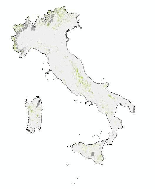 The permanent grasslands in Italy Miglioramento dei