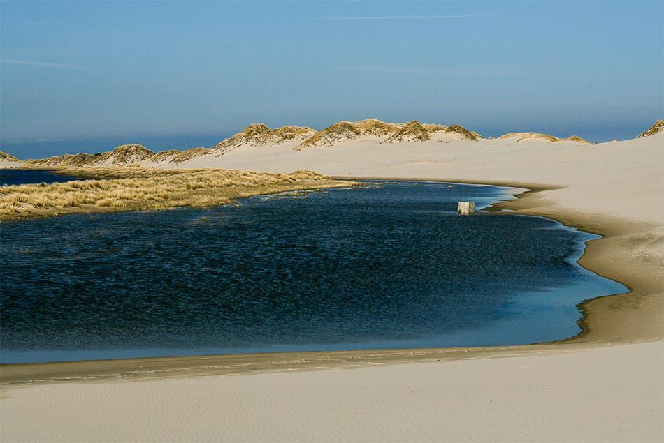 clima Atlantico Inverni umidi, nebbiosi Estati fresche e