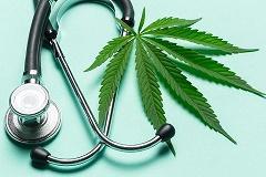 La normativa sull uso terapeutico di Cannabis, il modello regionale veneto nell esperienza dell Aulss2 di Treviso: dal controllo dei formalismi