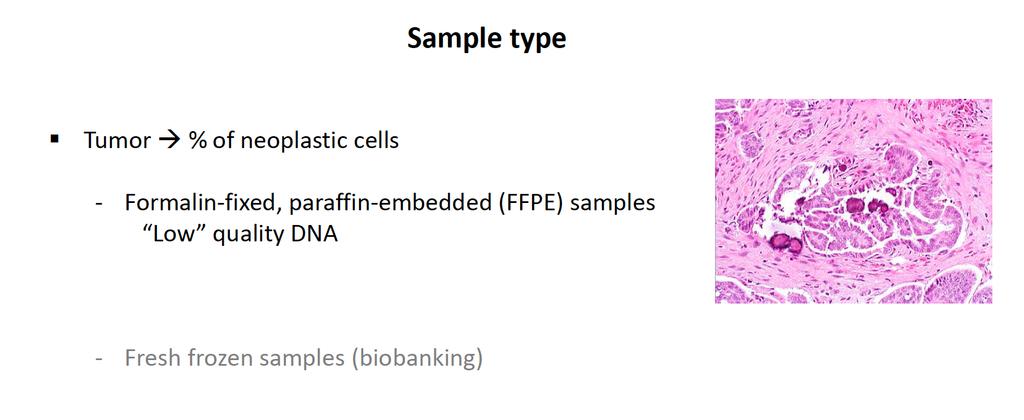 Somatic BRCA test