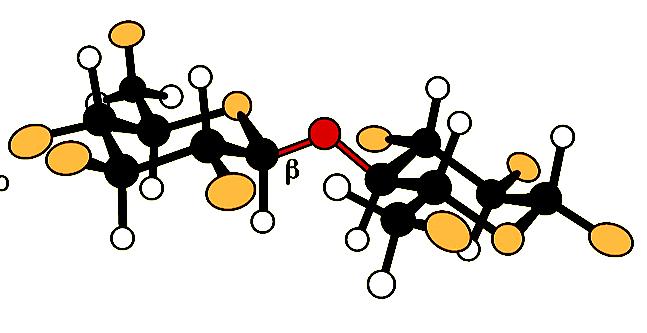 CELLOBIOSIO E un disaccaride che si ottiene dall idrolisi