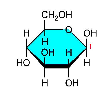 Anche in questo caso abbiamo 2 anomeri, in generale abbiamo: anomero quando il gruppo ossidrilico -OH del carbonio anomerico (C n.