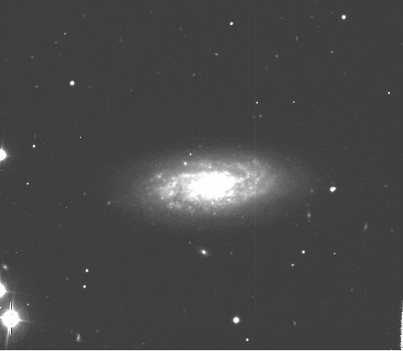 Figura 1.5: Immagine di NGC 1292 in banda R (Morelli et al. 2008). L immagine è stata ruotata in modo da avere il nord rivolto verso il lato superiore dell immagine e l est verso il lato sinistro.