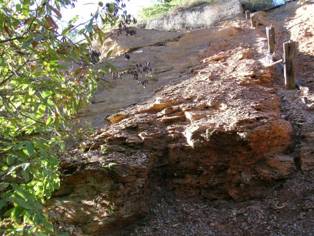 et Alii - Foglio 306 Massa Marittima Ser. Geol. d Ital.