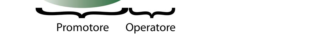 Fattori di trascrizione Equazioni Memorie a retroazione positiva Memorie a mutua inibizione Oscillatori ad anello Oscillatori a rilassamento Ruolo della modellistica matematica nella fase di