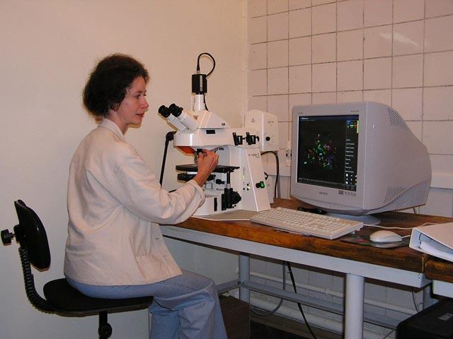 Un microscopio ottico moderno IL MICROSCOPIO OTTICO HA UN LIMITE DI RISOLUZIONE DI CIRCA 0.2 µm, (MILLE VOLTE SUPERIORE A QUELLO DEL NOSTRO OCCHIO).