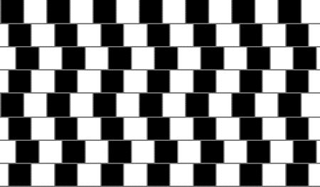 Dritto o storto? A prima vista, guardando quest'immagine, le linee orizzontali non ci sembrano parallele ma convergenti (o divergenti).