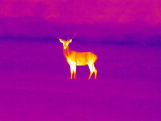 Emissione di radiazione Legge di Stefan-Boltzmann: ogni orpo alla temperatura T emette una quantità di energia proporzionale alla quarta potenza della temperatura assoluta. ε σ A T t σ 5.