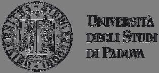 AMMINISTRAZIONE CENTRALE AREA AFFARI GENERALI E LEGALI AAGL SERVIZIO ATTI NORMATIVI AFFARI ISTITUZIONALI E PARTECIPATE Decreto Rep. 3070/2017 Prot. n. 330989 Anno 2017 Tit. I Cl. 3 Fasc.