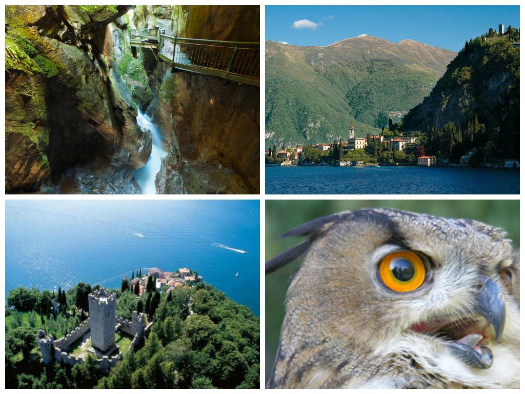 FALCONIERE PER UN GIORNO Mercoledì 05 agosto: Esino Lario - Bellano - Varenna - Vezio Ritrovo-partenza: h. 9.30 sede del Parco di Esino Lario Villa Clotilde Rientro: h. 18.