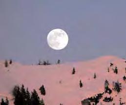 offrire: dalla pianura alla montagna, dai laghi ai fiumi, dalle città ai paesaggi collinari.