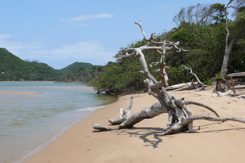 Kosi Bay Mouth False Bay e Sodwana Bay, Cape Vidal sono famose anche per lo snorkeling: potrai avvistare coralli, murene e splendidi pesci coloratissimi. Quindi da non perdere!