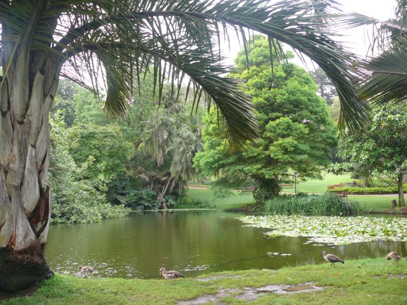 Durban giardino