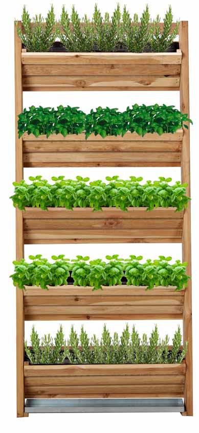OrtolEGno VERTicale in LARicE il tuo verde a parete Ortolegno verticale ti permette di coltivare le piccole piante in fiore, aromatiche e da orto ottimizzando il tuo spazio.