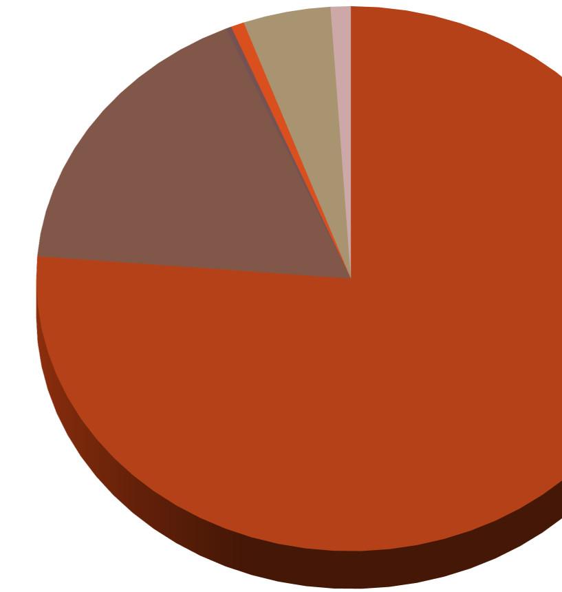 Energia elettrica 79,46% Complementi di imballaggio 0,68%