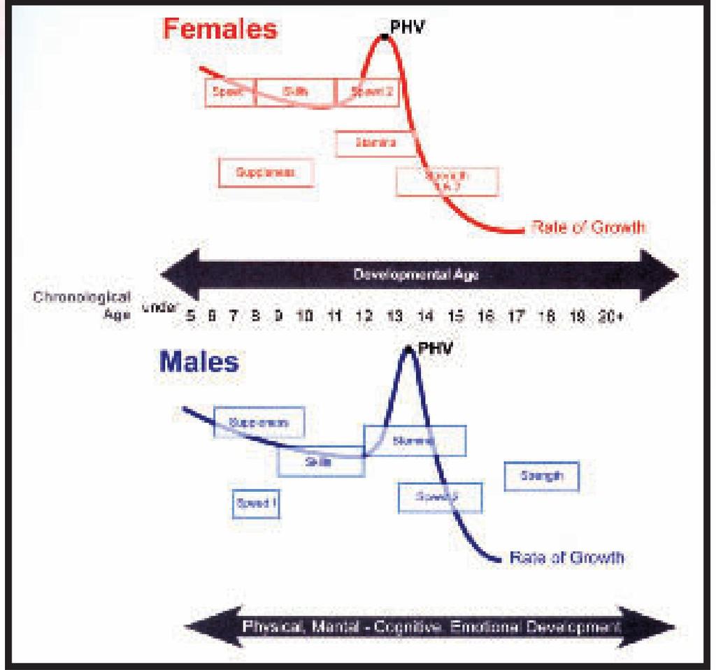 Male/Female PHV This chart indicates the Windows of Optimal Trainability for Females and Males.