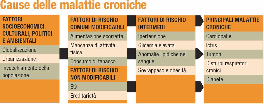 DG2 L importanza dei comportamenti Alcol Prevenire le malattie