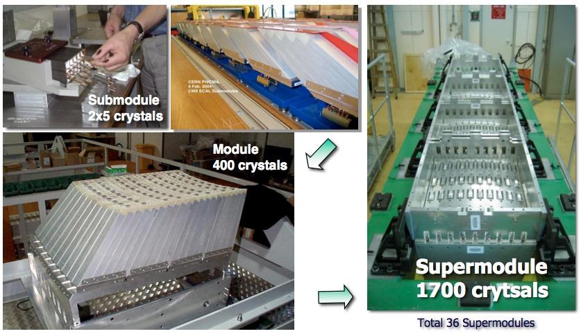 Cristalli - Barrel ECAL Barrel: 36 supermoduli con 1700 cristalli ciascuni.