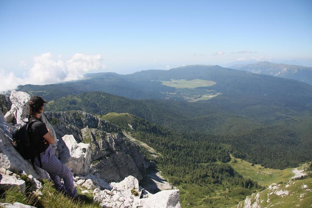 PROPOSAL FOR A MULTIDISCIPLINARY MONITORING NETWORK IN CANSIGLIO PLATEAU (NORTH-EASTERN ITALY) B. GRILLO 1, D. ZULIANI 3, C. BRAITENBERG 1, R. DEVOTI 2, P.