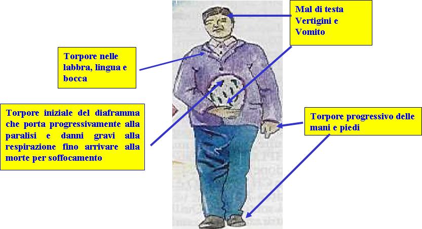 Tossicità umana Effetto acuto dopo 5-30 minuti con formicolio delle labbra,