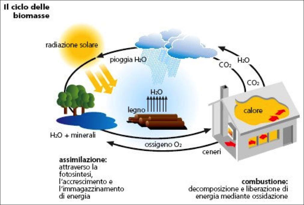 Misure più significative del PER per le FER Promuovere la diffusione delle biomasse in agricoltura, attraverso Studi di settore, Linee guida con criteri tecnici di sostenibilità economica, ambientale