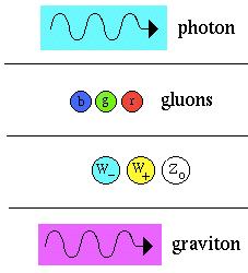 Campi quantistici Nelle teorie di campo quantistico, l energia di un onda nel campo è quantizzata, e le eccitazioni del campo si possono considerare come particelle che trasportano l energia tra le