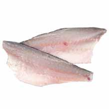 KG 10050005 BRANZINO GRECIA 1000/1500 SFILETTATO KG 10050170 BRANZINO GRECIA 1500/2000 KG 10050008 BRANZINO GRECIA 1500/2000 EVISC. E SQ.