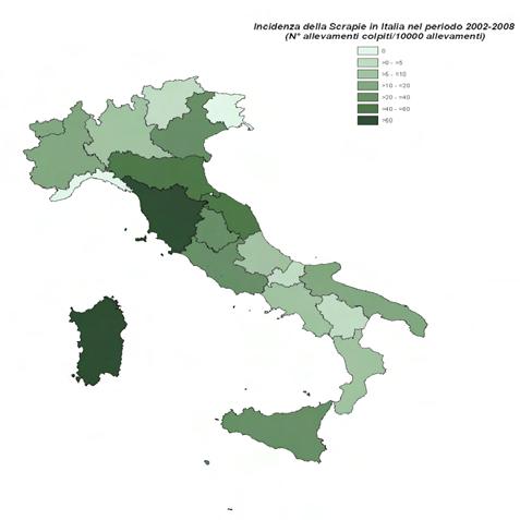 Figura 2 Confronto tra incidenza (fig. verde) e prevalenza (fig. blu) della scrapie in Italia dal 2002 al 2007.