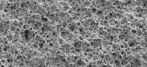 . Superficie La superficie ZLA Straumann presenta una topografia caratterizzata da una rugosità macroscopica e microscopica simile alla superficie SLA.