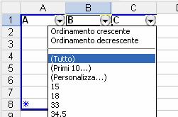 Filtro automatico Il filtro automatico permette di selezionare molto rapidamente i dati