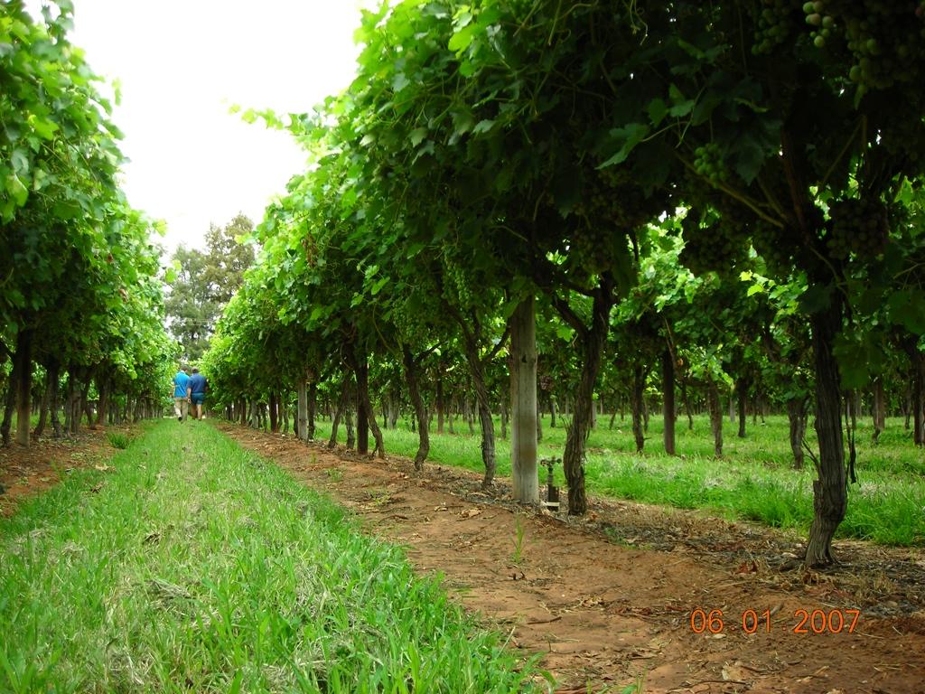 GRAZIE PER L ATTENZIONE!!!! AGRIPROJECT GROUP S.R.L. The scientific search continues for a blend of systems that will grow food naturally and be good for nature on and beyond the farm field.