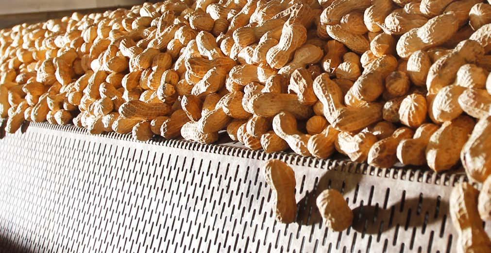 NOCCIOLTOST Produttori di gusto Noccioltost, una tradizione che porta sulle tavole dei consumatori frutta secca di qualità inconfondibile.