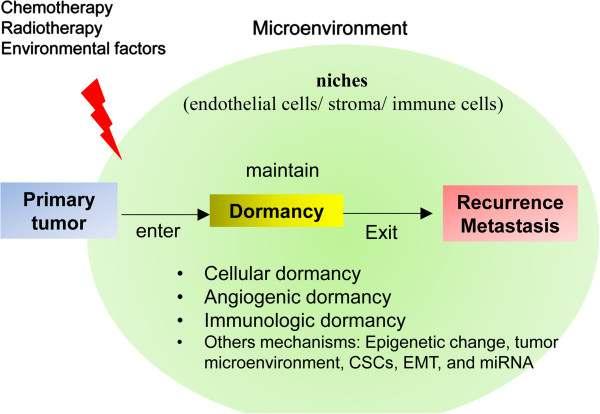 28/05/15 Tumor dormancy : il modello