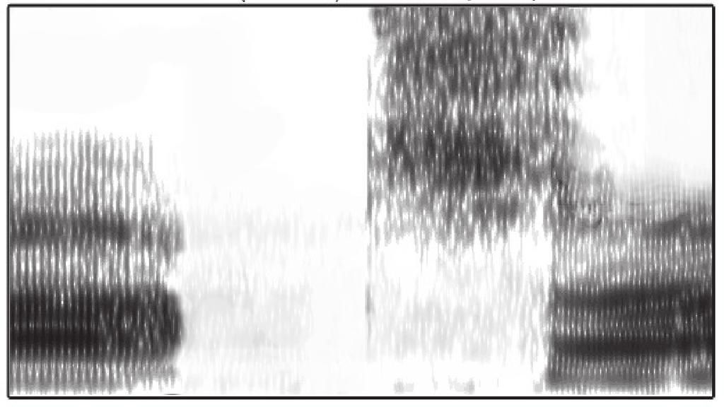 110 Ladinia XXXI (2007) / Franco Finco 7000 Hz tenuta (occlusione) rilascio (frizione) 0 Hz Fig.