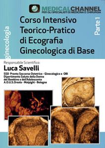 LUCA SAVELLI - Corso Intensivo teorico-pratico di Ecografia Ginecologica di Base - Parte 1 di 3 1) Conoscere gli ultrasuoni e lo strumento.