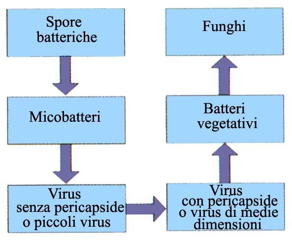 I microbi sono elencati in ordine