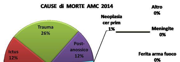 9 Si noti la differenza tra le cause di morte da