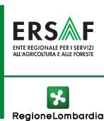 mantenute attorno a valori di 25-26 C per poi mostrare un calo nella giornata di sabato 21 luglio (21-22 C) ed una