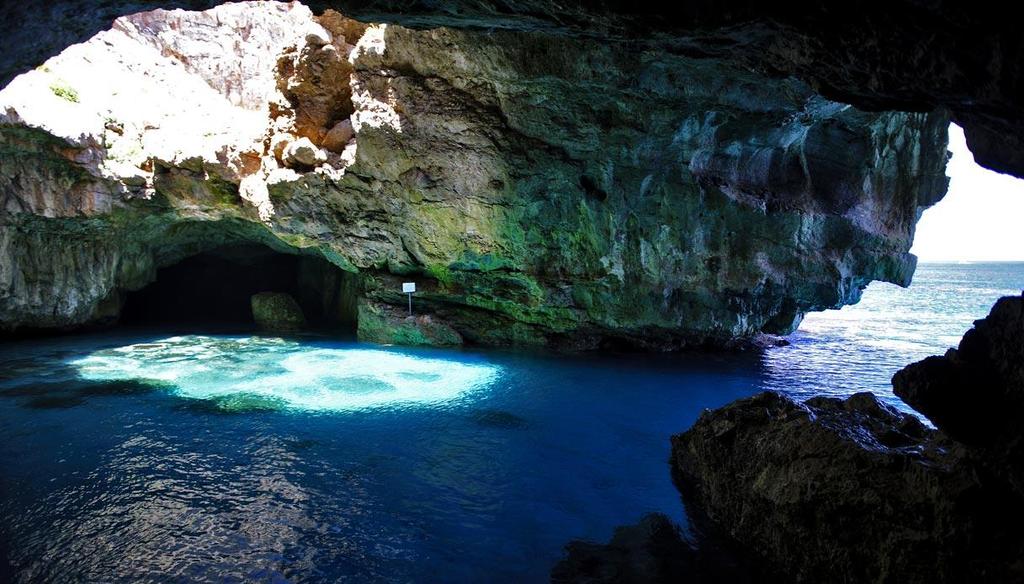 Altri habitat protetti Nelle Isole Egadi possiamo