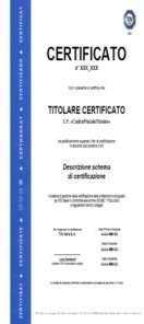 Processo di Certificazione TÜV Examination Institute RICHIESTA DEL MERCATO Sviluppo Schema Richiesta di Certificazione Analisi