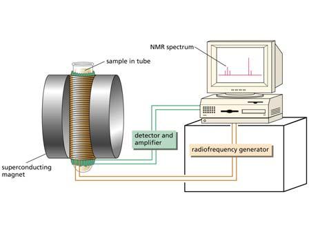 Uno spettrometro NMR Gli elettroni intorno al nucleo