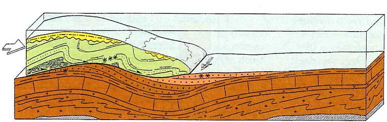 EPILIGURI paleo-alpi Liguridi Macigno di M.