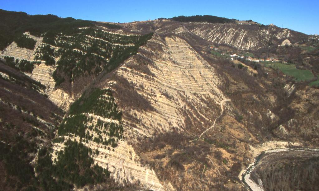 Torbiditi del Flysch di