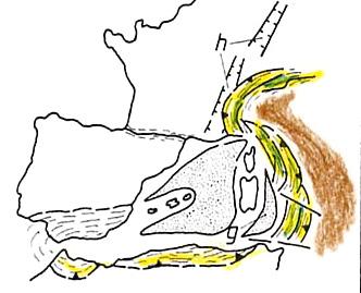 PaleoEuropa Dalle Paleoalpi, circa 30 M.a. iniziano a sollevarsi le attuali Alpi e circa 10 M.a. si forma l Appennino La Placca Africana si è spostata verso